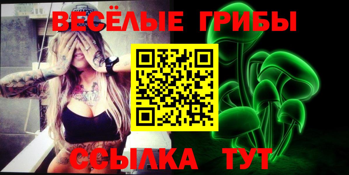 Галлюциногенные грибы GOLDEN TEACHER Балаково