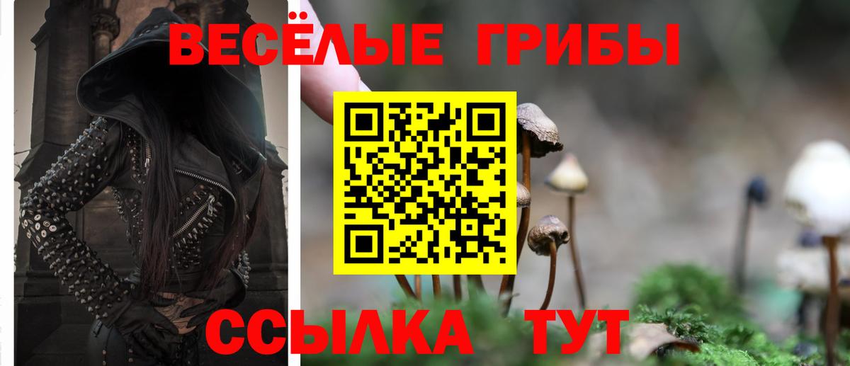 Галлюциногенные грибы прущие грибы  купить закладку  Балаково  Вход с VPN 
